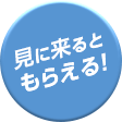 見に来るともらえる！